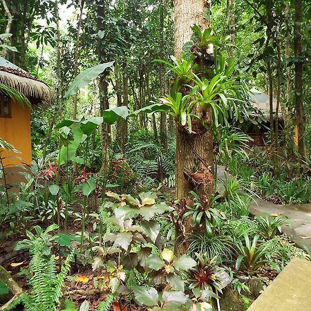 Korrigan Lodge Cahuita Exterior photo