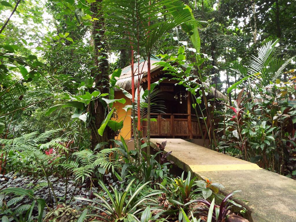 Korrigan Lodge Cahuita Room photo