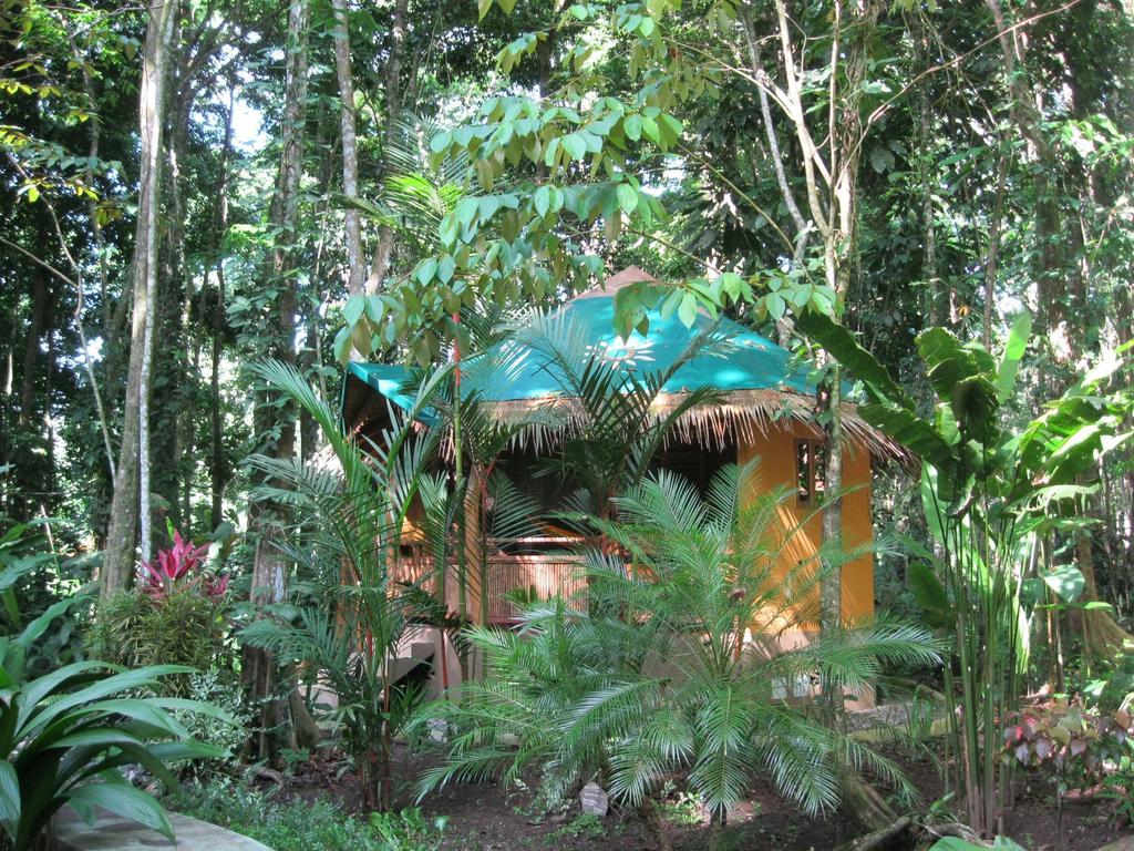 Korrigan Lodge Cahuita Room photo