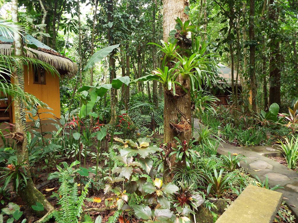 Korrigan Lodge Cahuita Exterior photo