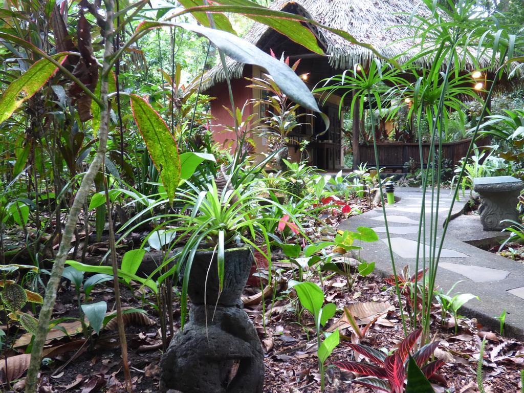 Korrigan Lodge Cahuita Exterior photo