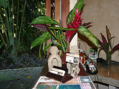 Korrigan Lodge Cahuita Exterior photo